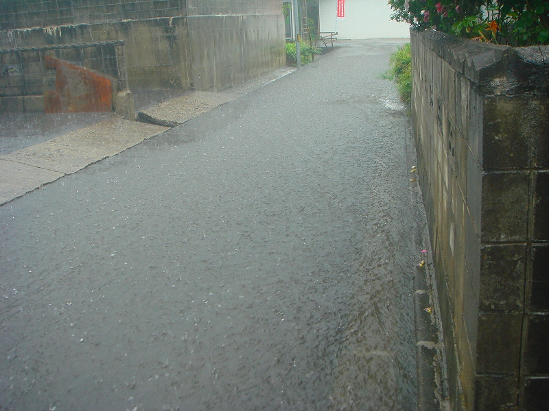 250811BP2.JPG - 454,656BYTES